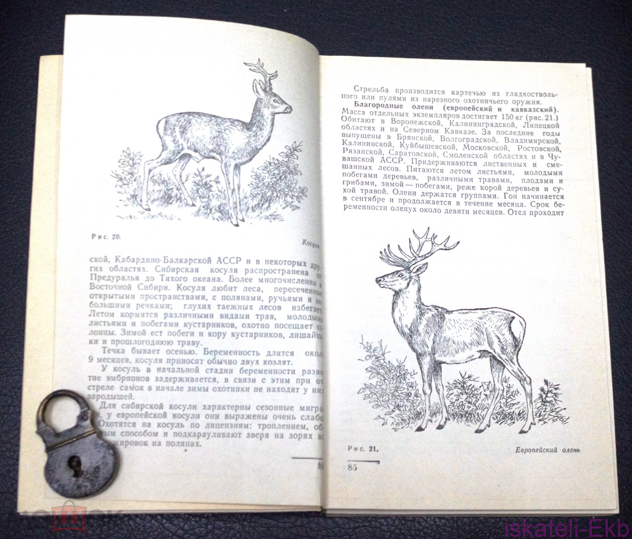 Книга. "Охота и охрана природы. Охотничий минимум". "Россельхозиздат".1980 г. - Вольные стрелки