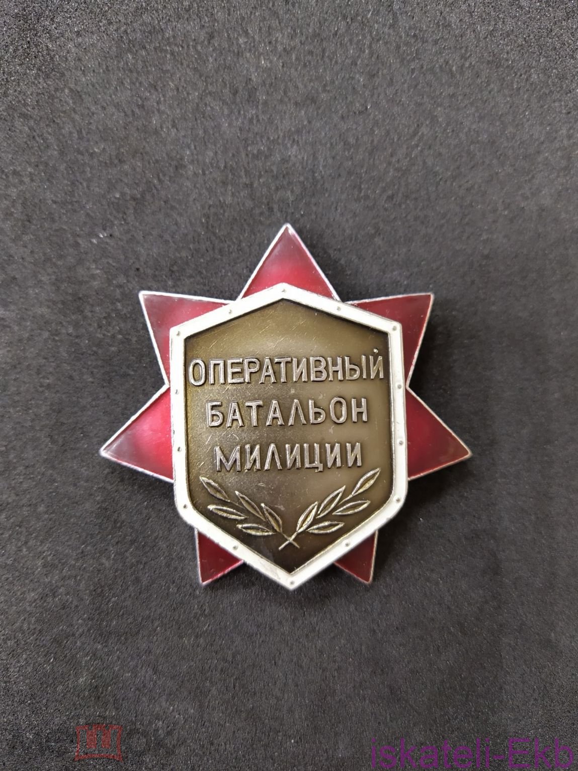 Значок, знак Свердловск. Оперативный батальон милиции. № 115