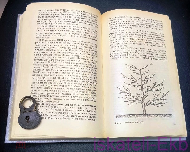 Книга "Плодовые, ягодные культуры и технология их возделывания" 1988 г. - Вольные стрелки